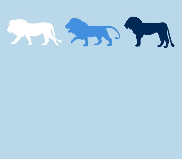 lions